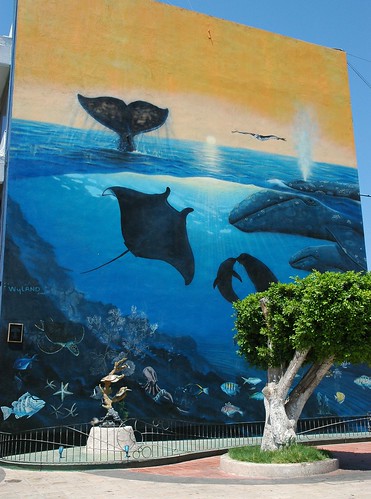 Blue Ocean Mural, building in La Paz, manta ray, dolphins, whales and other creatures, tree, and sculpure, along the malecon, La Paz, Baja California Sur, Mexico by Wonderlane
