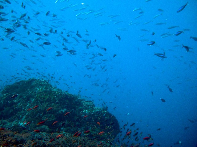 Scuba diving Bali Nusa Lembongan