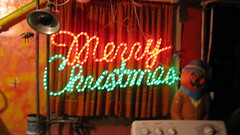 Happy Holidays from the basement. Elmwood Park Illinois. December 2009.