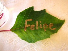 Felipe's leaf