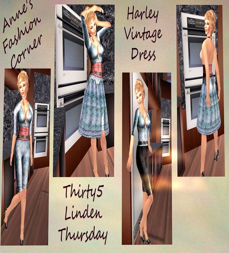 35L Anne's Fashion Corner Vintage Dress