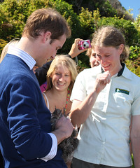 Prince William holding a kiwi