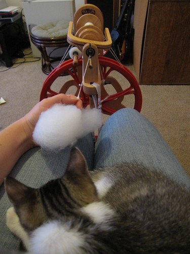 Lap Kitty and Spinning