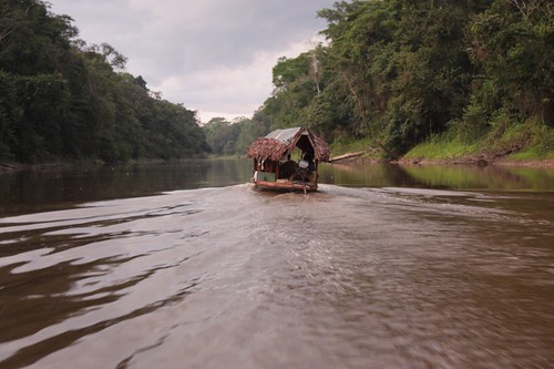 Amazonas - Perú 2009 (7)