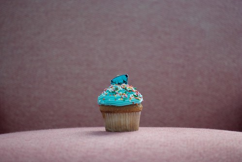 Blue Pig cupcake