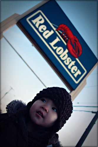 red lobster