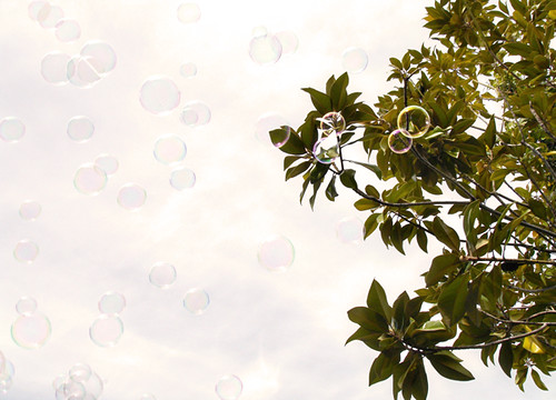( bubbles )