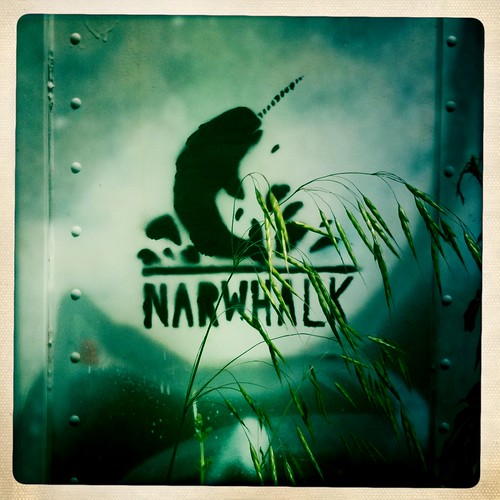 narwhalk