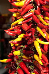 Paprika at food market in Budapest, Hungary