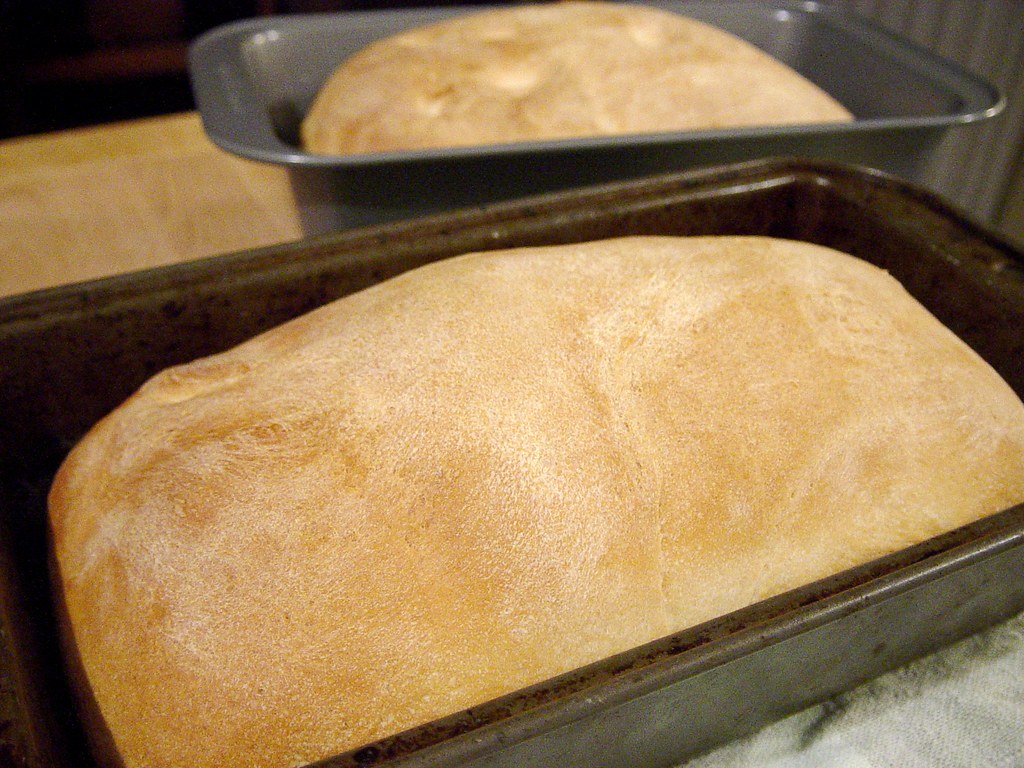 Bread hot out of the oven