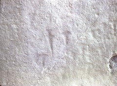 Images of daggers and axes are incised on the inner surfaces of some Sarsen stones.