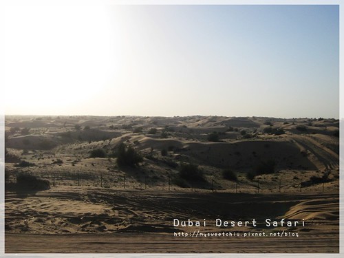 Dubai Desert Safari 1  杜拜沙漠衝沙