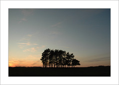paysage avec arbres, soirée par "berend"
