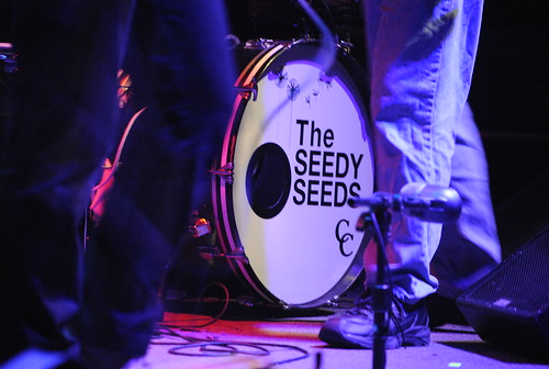 The Seedy Seeds