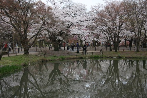 春爛漫 Scenery of the spring