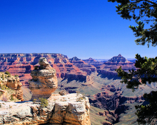 8x10 Grand Canyon IMG_8645