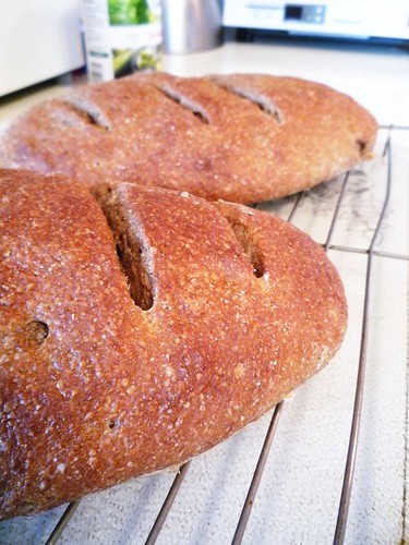 Healthy Bread in Five Minutes a Day Rye Bread
