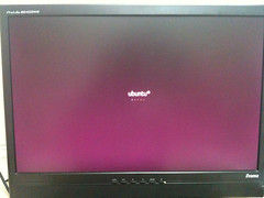 ubuntu boot