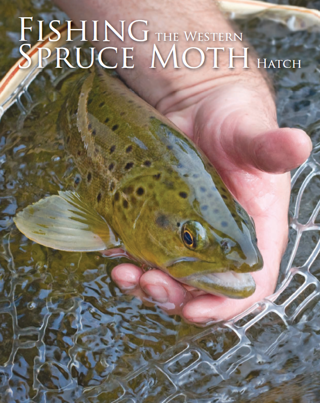FLYFISHER Mag, May 2010 Article.