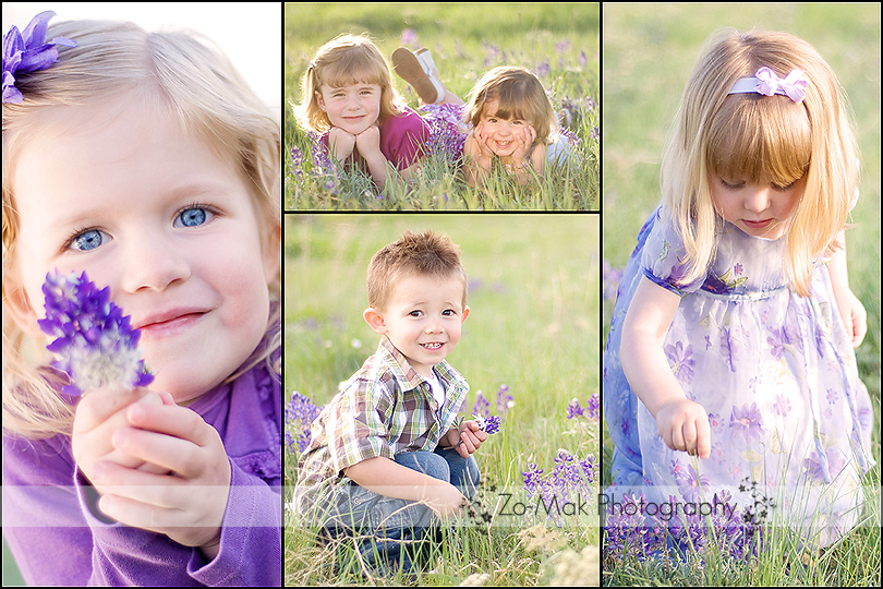 wildflower mini session collage