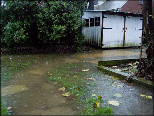 flooded-yard3
