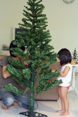 decorating the xmas tree