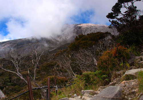 Mount Kinabalu 05