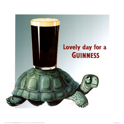 guinness-turtle-2
