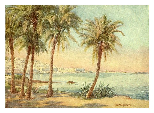 004-Argel desde el jardin de Essai-Algeria and Tunis (1906)-Frances E. Nesbitt
