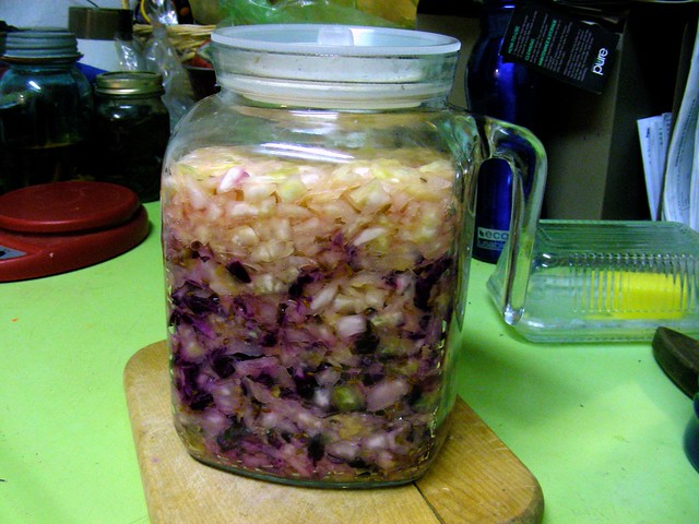 Homemade sauerkraut: 2 nights after