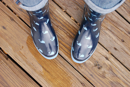 Whale Rain Boots