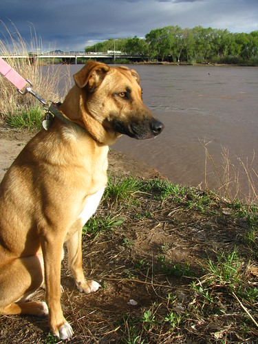 Addie on the banks of the Rio Grande