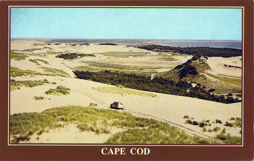 Cape Cod Dunes