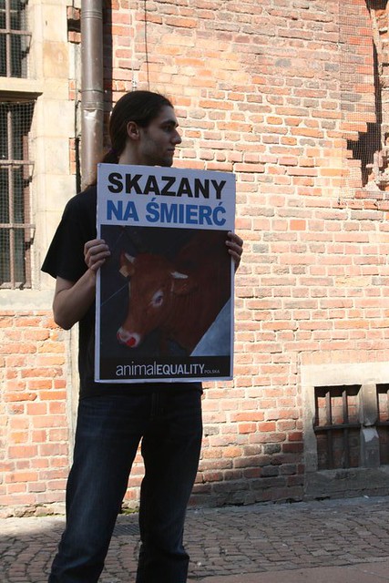 24/05/2010 - Polska - Animal Equality protest by Igualdad Animal | Animal Equality