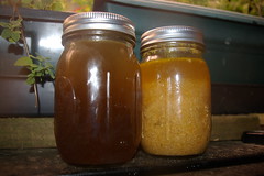 Chicken stock and soup