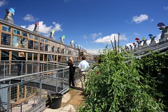 英國永續社區BedZED：工作室單元上方的屋頂花園，可供園藝、食物種植與居民聯誼之用（資料照，謝統勝攝）