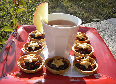 mulled cider and mince pies.jpg