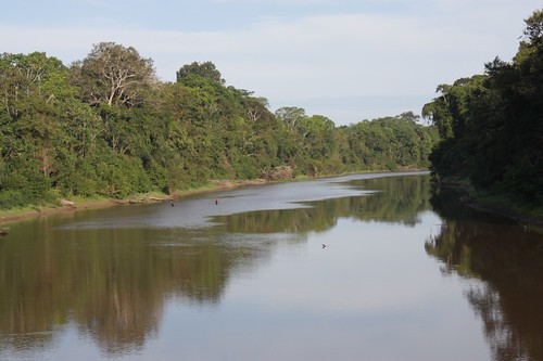 Amazonas - Iquitos - Perú 2009 (1)