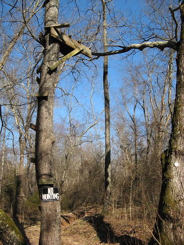 "No Hunting" sign under deer stand