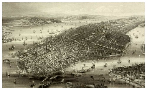 019-New York y alrededores a vista de pajaro 1853-The Eno collection of New York City-NYPL