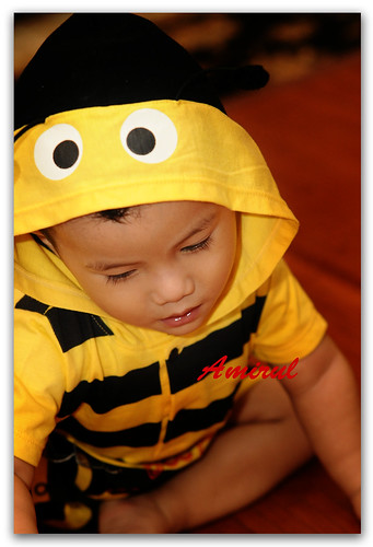 Amirul Bee 6