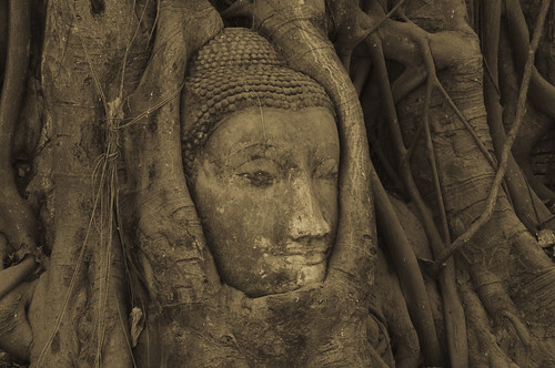 フリー画像|人工風景|仏像|アユタヤ歴史公園|世界遺産/ユネスコ|タイ風景|セピア|フリー素材|