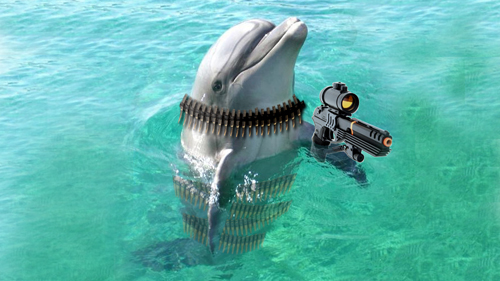 Dolphin Wars