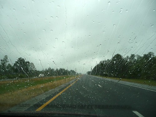 Rain-streaked windshield