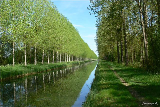 Pour une petite balade : le canal De Berry by Dogeed...(Absent)
