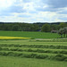 spring fields 2010