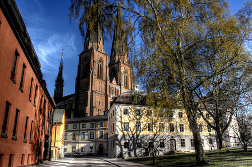 Uppsala. Catedral y árbol