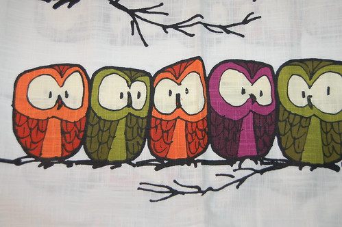Row of owls