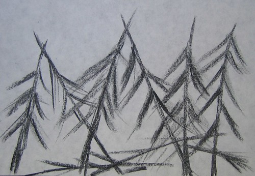 Trees drawings by Matthew Felix Sun 3