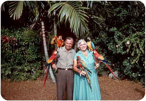 Parrot Jungle, Miami — 1956